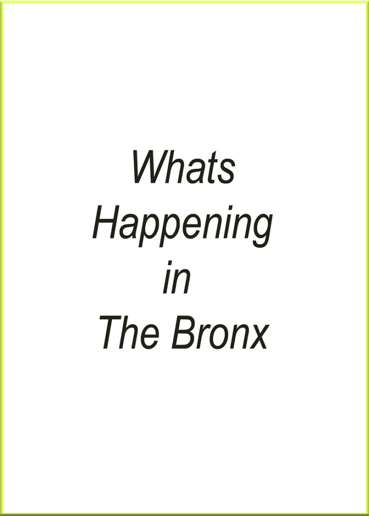 what's happening in the bronx link
